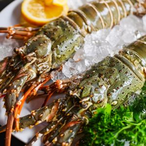 Lobsters