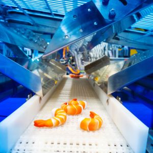 frozen fishery products