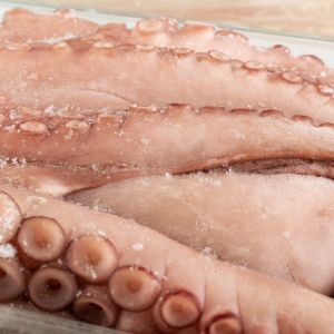 Frozen Octopus