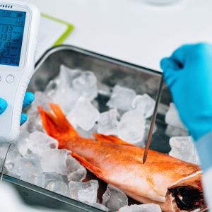 Food quality control inspection of sea food